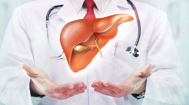 Liver transplant cost in india